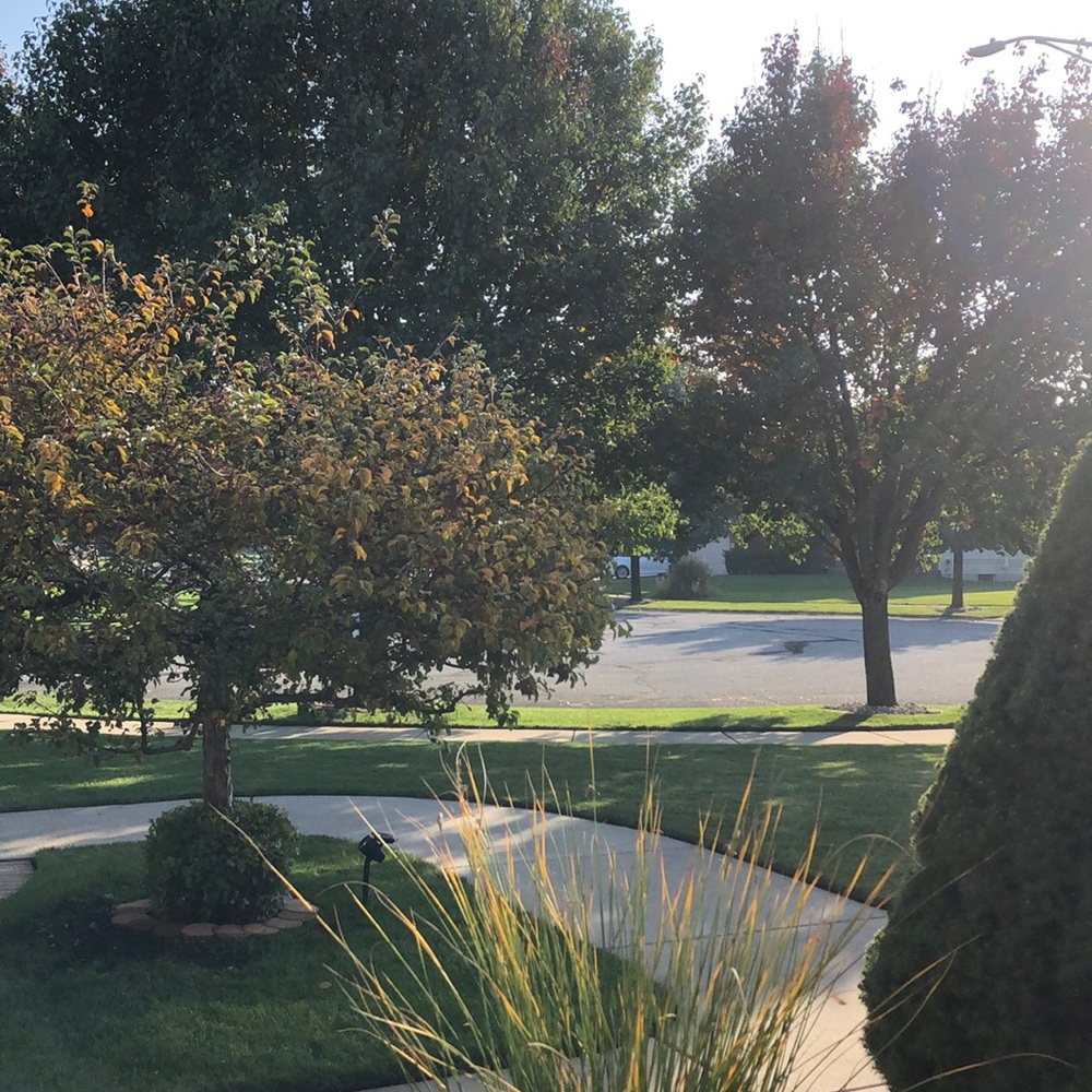 Meet your Posher, Patsy